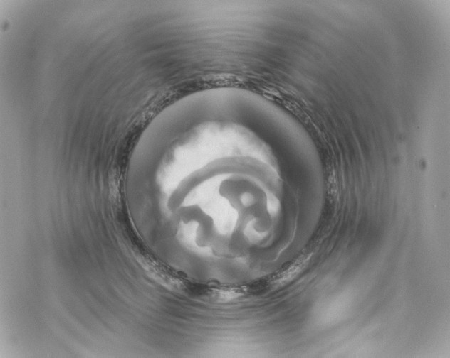 X0000069810662200606161851