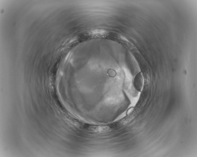 X0000069810663200606161851