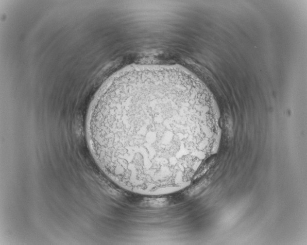 X0000069810665200606161851