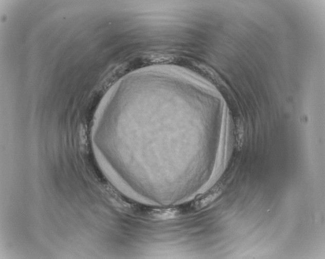 X0000069810667200606161851