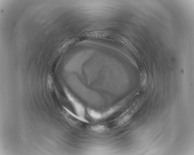 X0000069810669200606161851