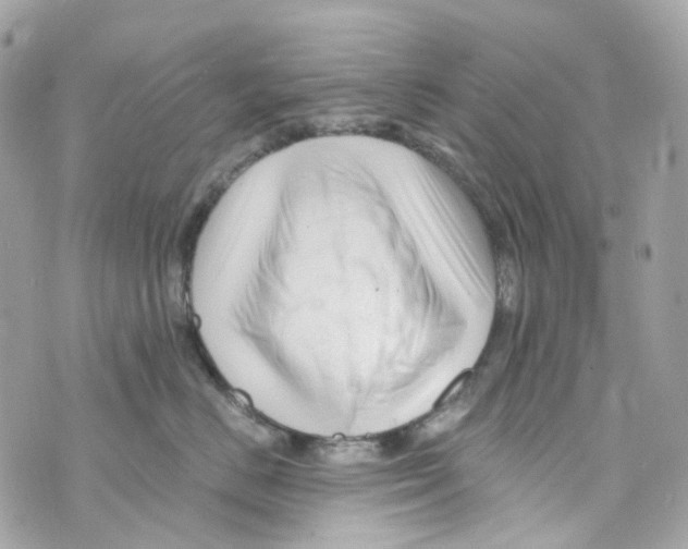 X0000069810670200606161851