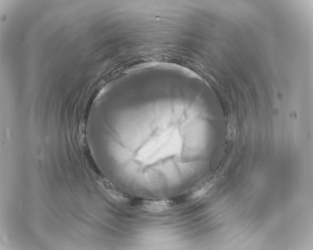 X0000069810671200606161851