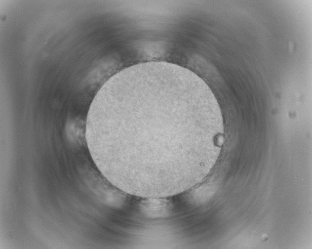 X0000069810672200606161851