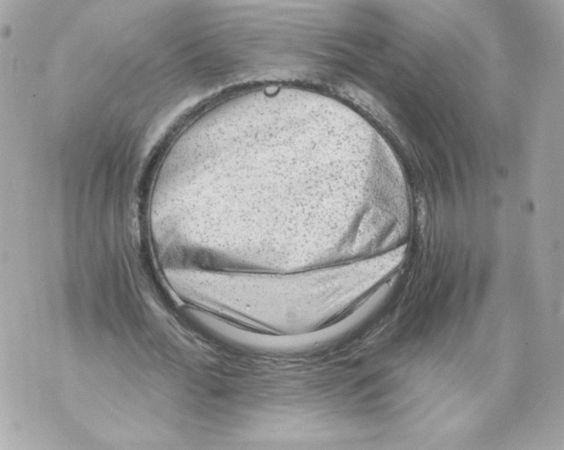 X0000069810676200606161850