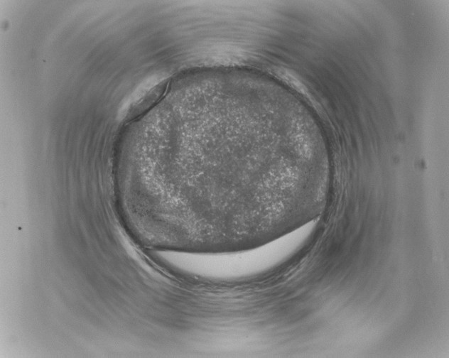 X0000069810677200606161850