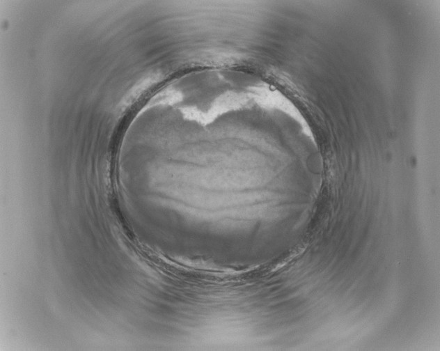 X0000069810679200606161850