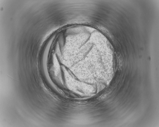 X0000069810680200606161850