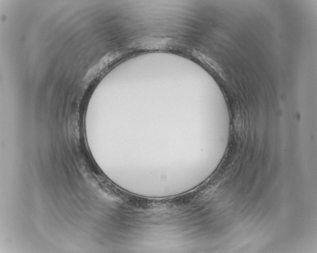 X0000069810682200606161850