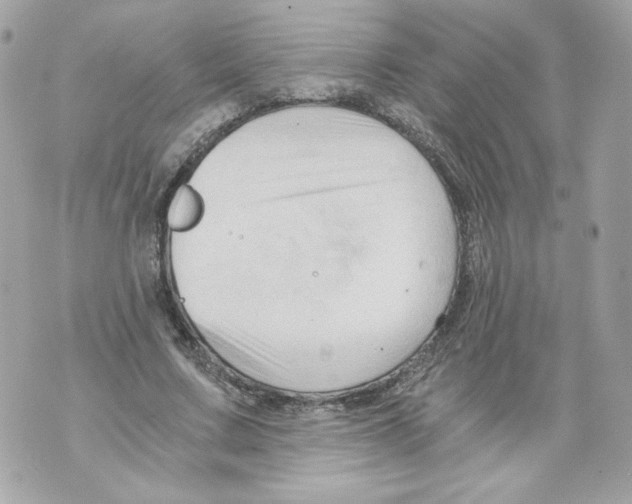 X0000069810683200606161850