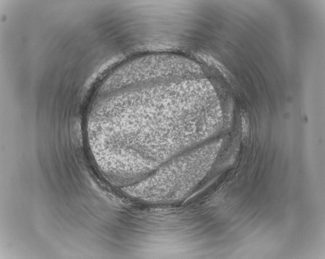 X0000069810684200606161850