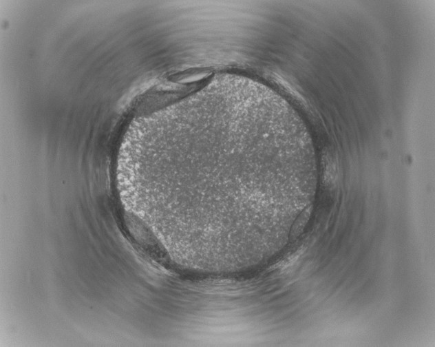 X0000069810685200606161850