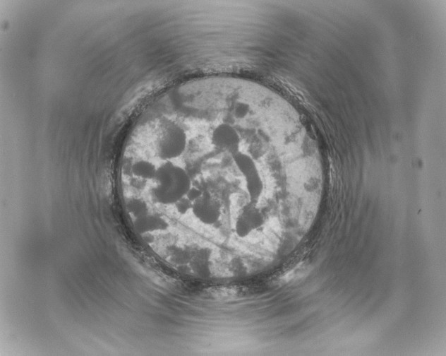 X0000069810687200606161850