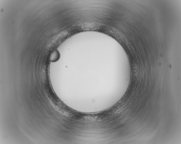 X0000069810690200606161850