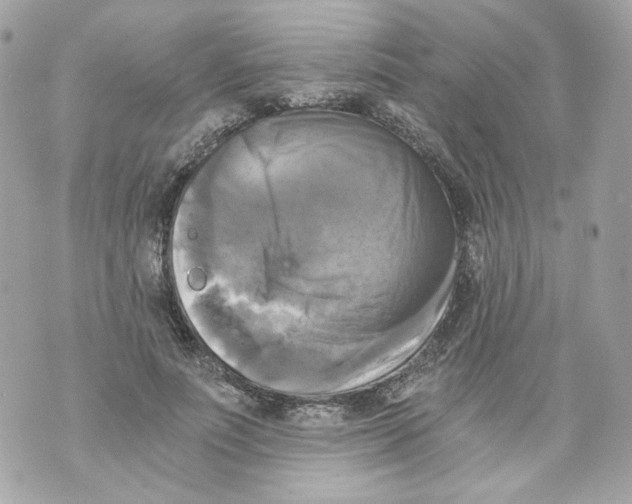 X0000069810691200606161850