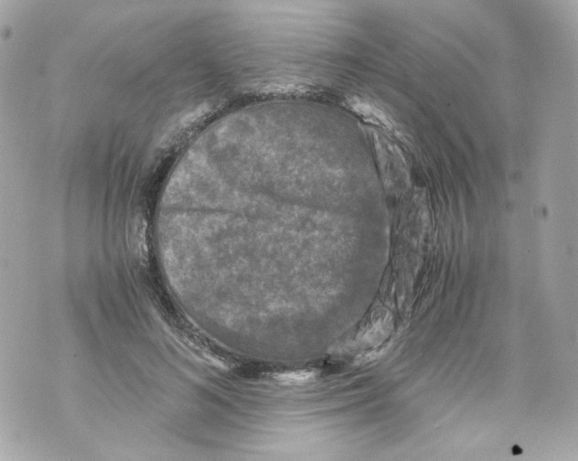 X0000069810692200606161850