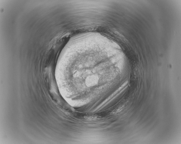 X0000069810693200606161850