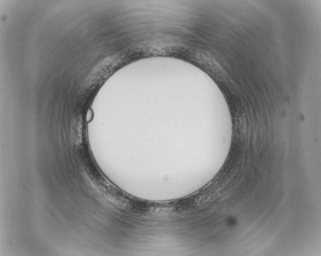 X0000069810694200606161850