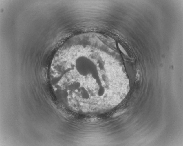 X0000069810695200606161850