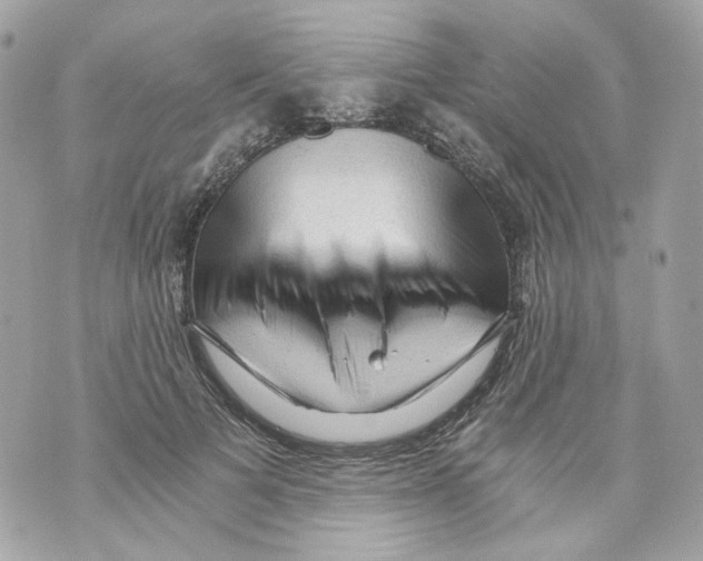 X0000069810697200606161850