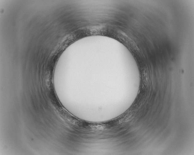 X0000069810698200606161850