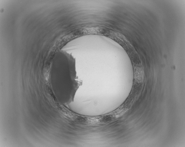 X0000069810701200606161850