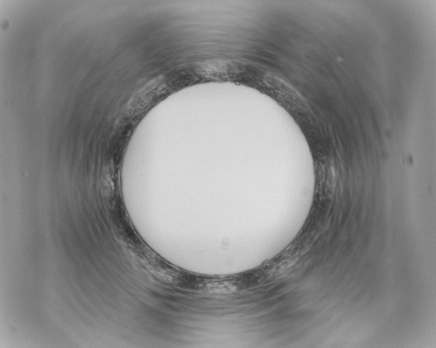 X0000069810702200606161850