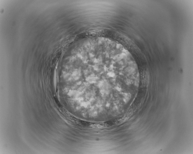 X0000069810703200606161850