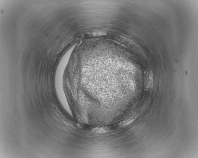 X0000069810704200606161849