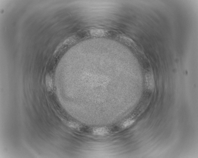 X0000069810705200606161849