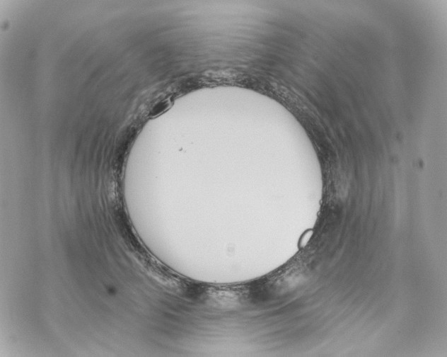 X0000069810706200606161849