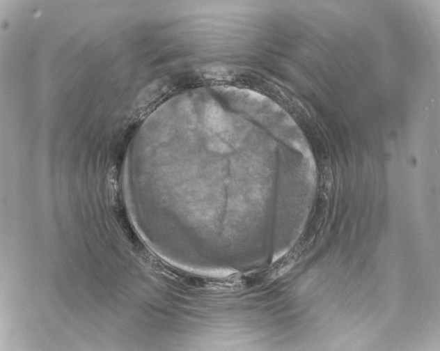 X0000069810707200606161849