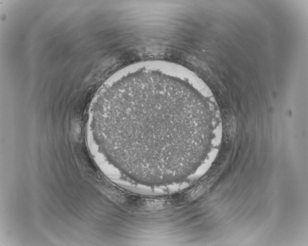 X0000069810709200606161849