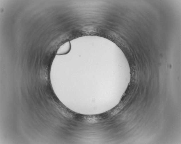 X0000069810710200606161849