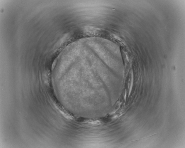 X0000069810712200606161849