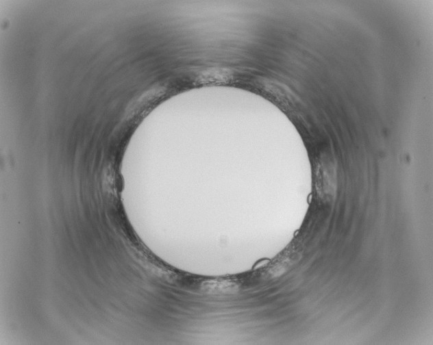 X0000069810714200606161849