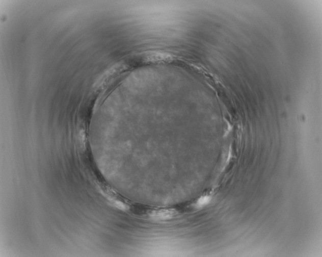 X0000069810716200606161849