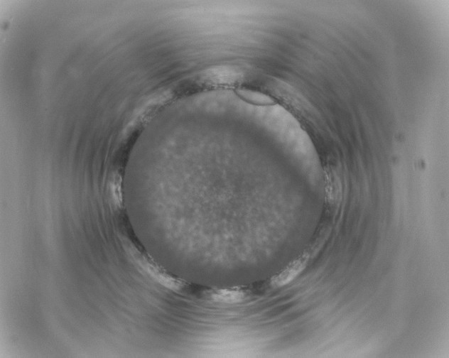 X0000069810718200606161849