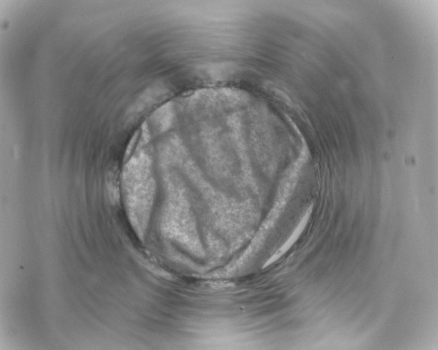 X0000069810719200606161849