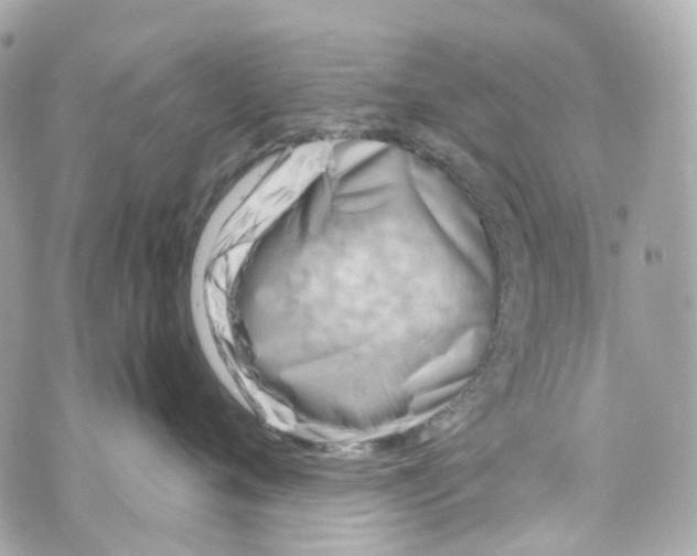 X0000069810720200606161849