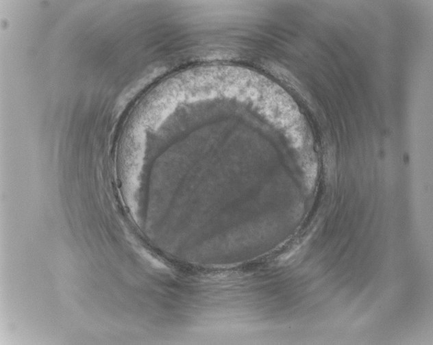 X0000069810721200606161848