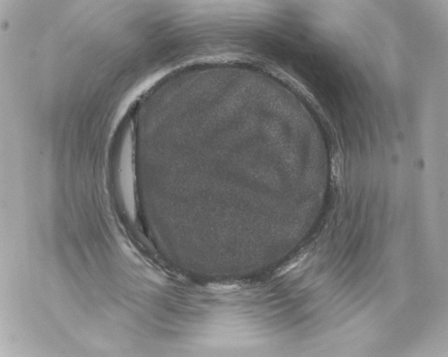 X0000069810724200606161848