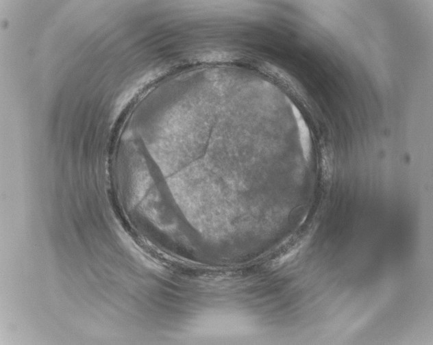 X0000069810725200606161848