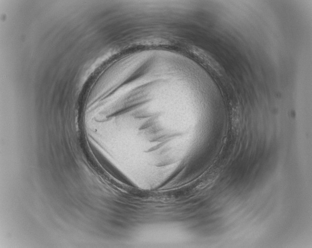 X0000069810727200606161849