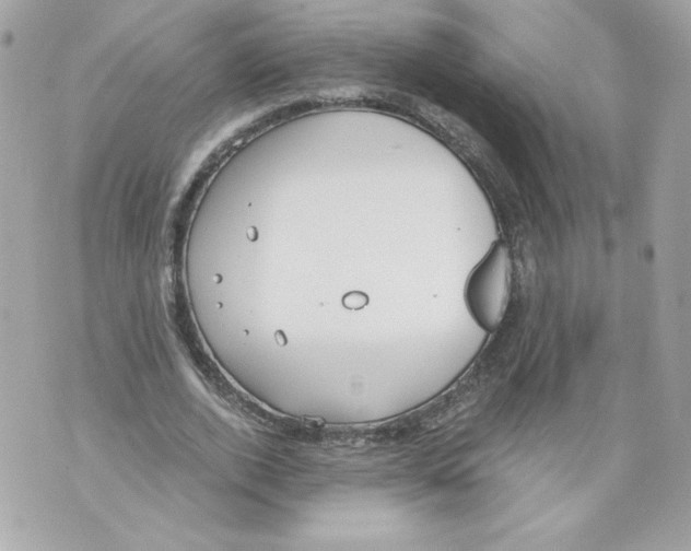 X0000069810728200606161849