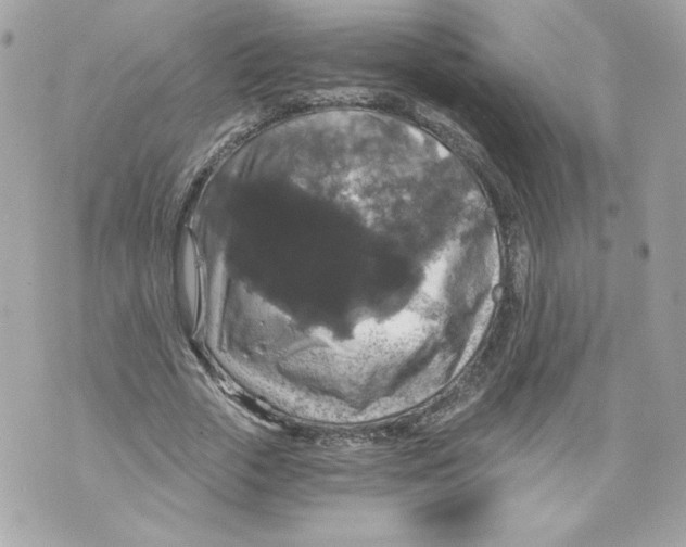 X0000069810729200606161849