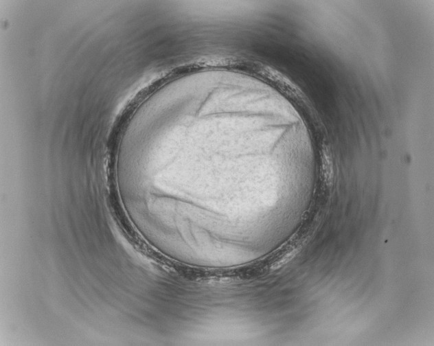 X0000069810730200606161849