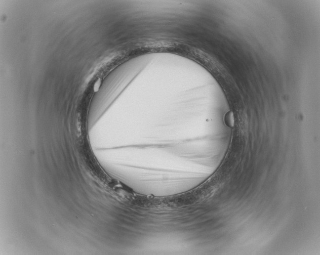 X0000069810731200606161849