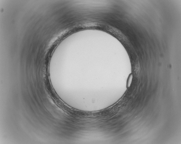 X0000069810732200606161849