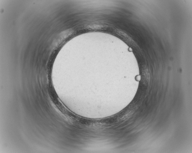 X0000069810734200606161849